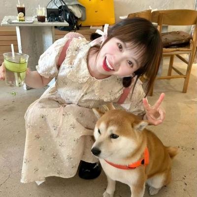 狗哥短剧